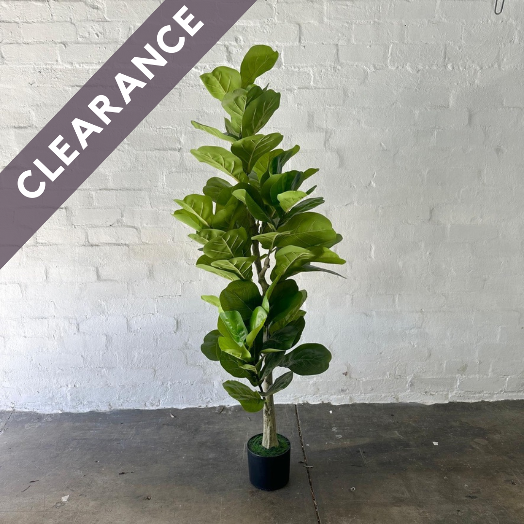 Artificial Fiddle Tree | 150cm