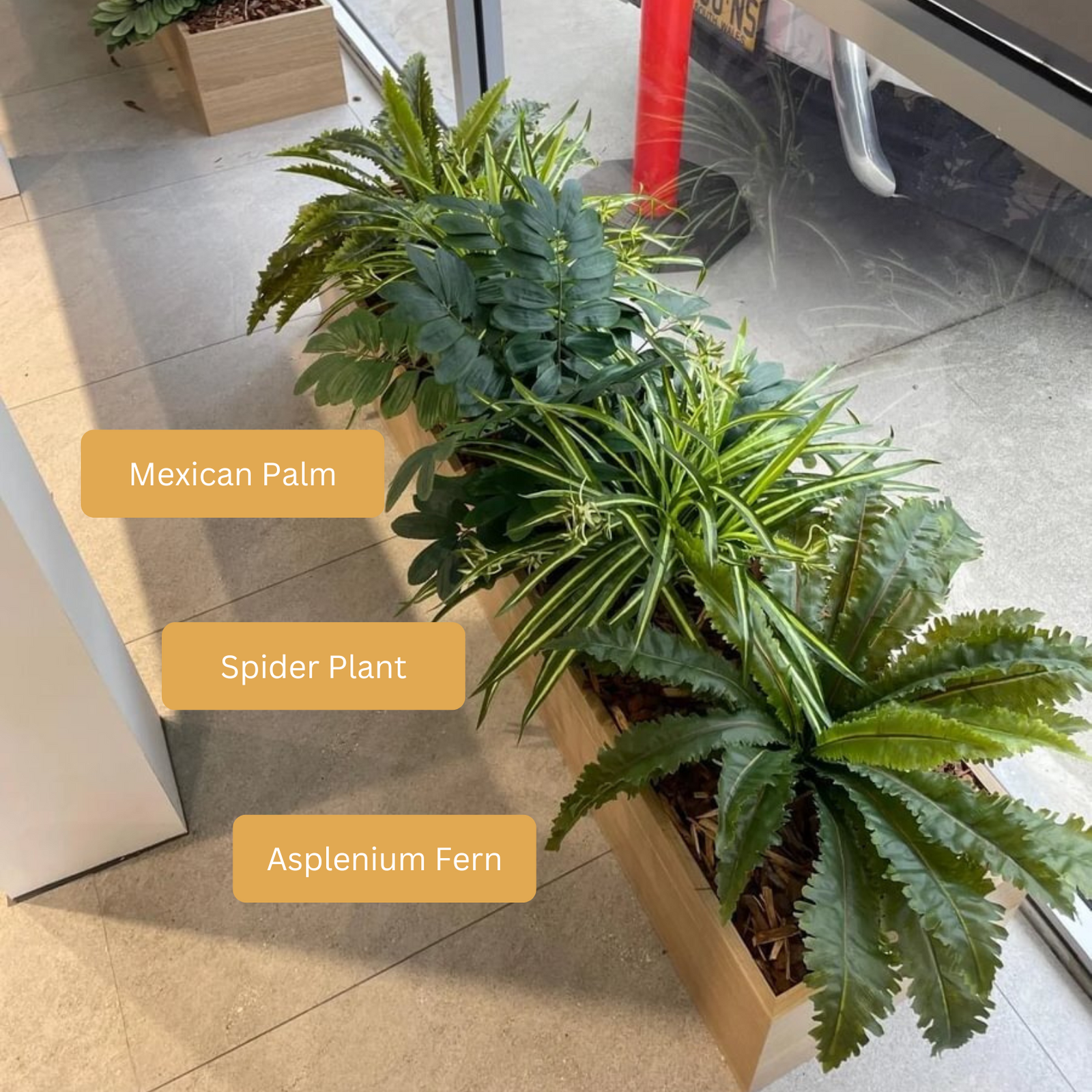 Artificial Mexican Palm