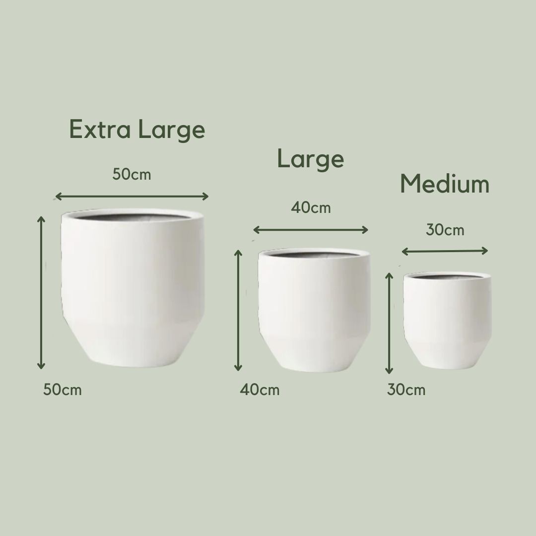 Lightweight Avery Pot | White | Large