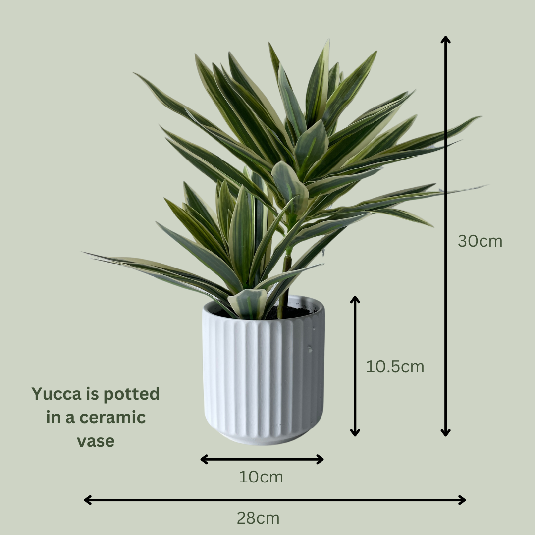 Artificial Mini Variegated Yucca