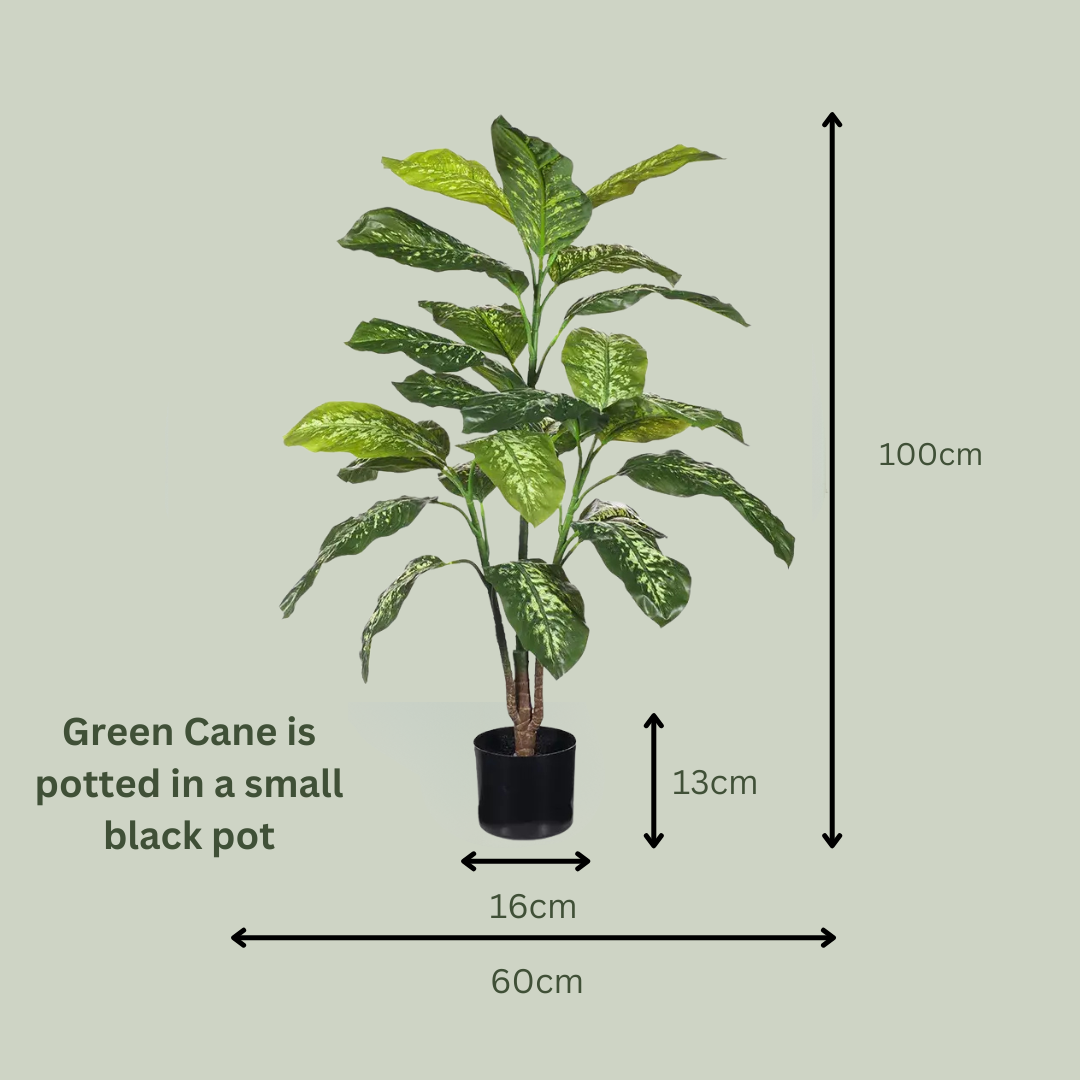 Artificial Green Cane Plant