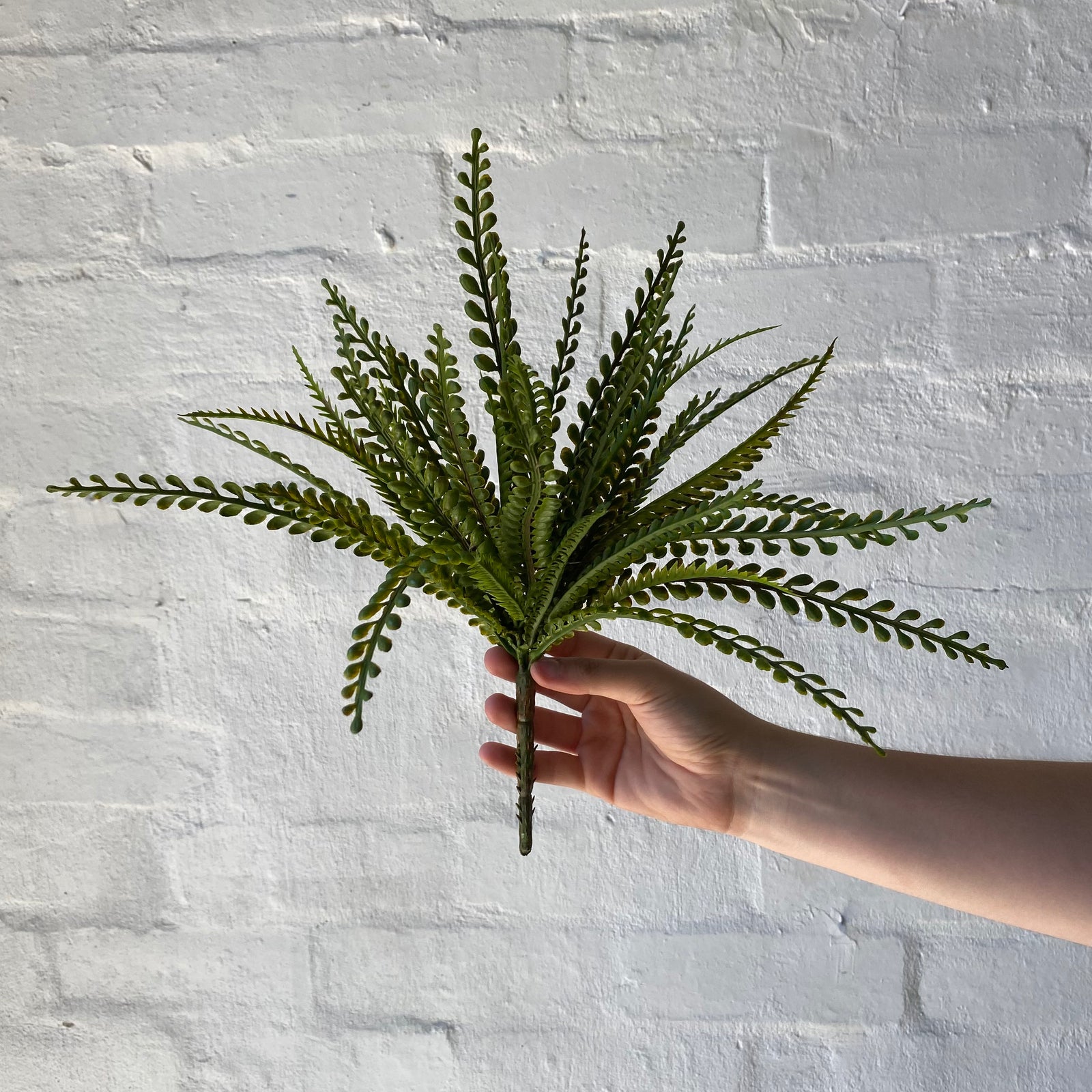 Artificial Lemon Fern