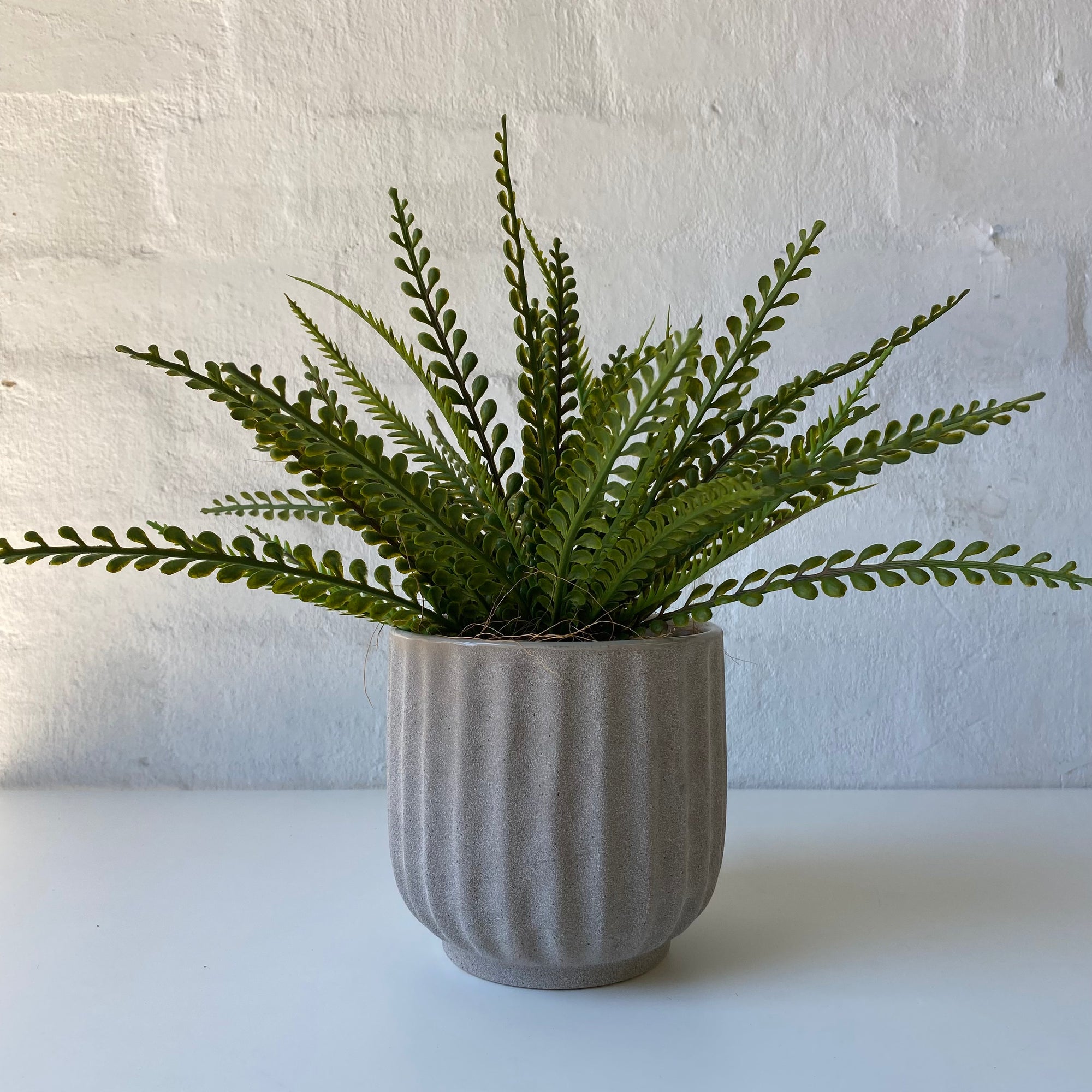 Artificial Lemon Fern
