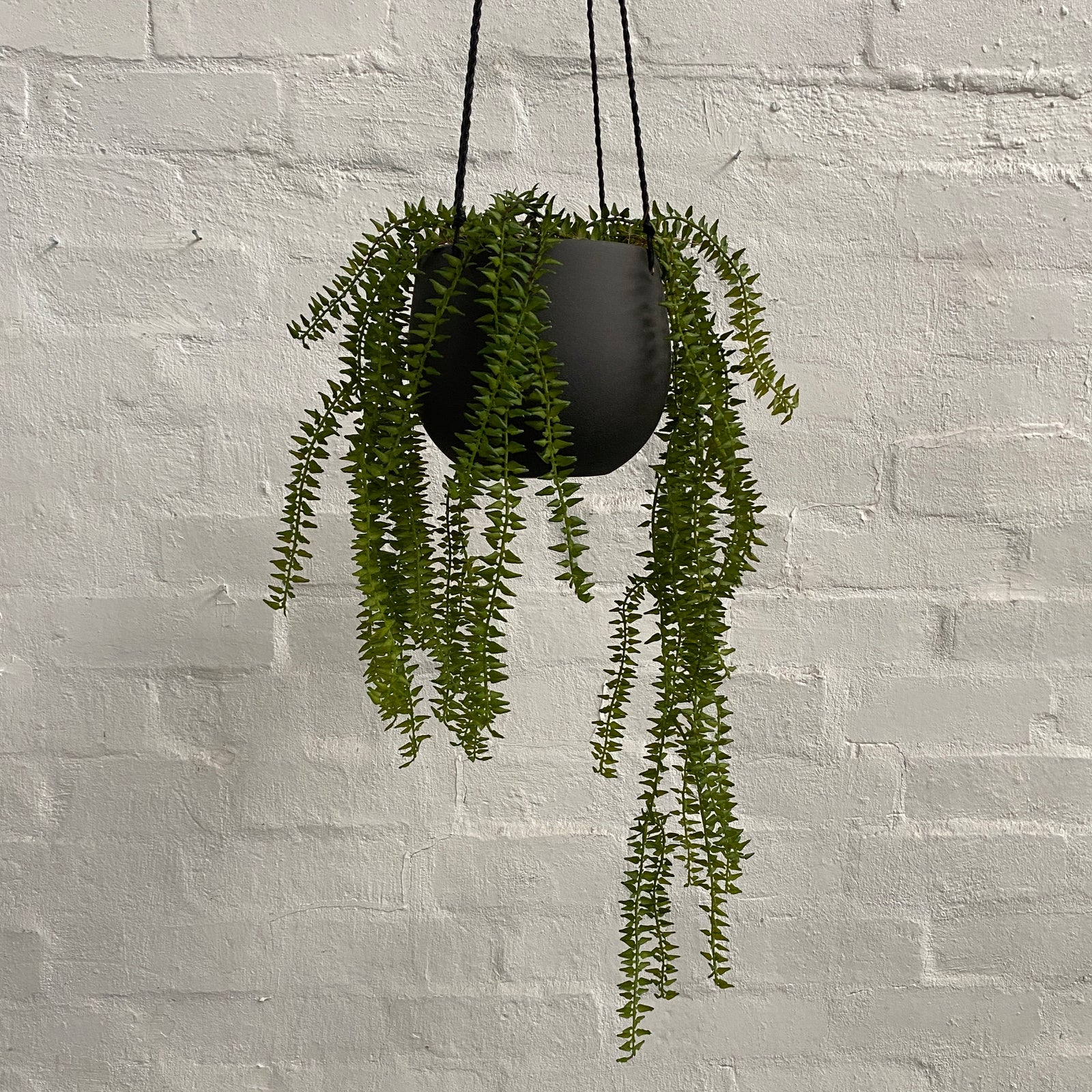 Bunny Hanging Pot