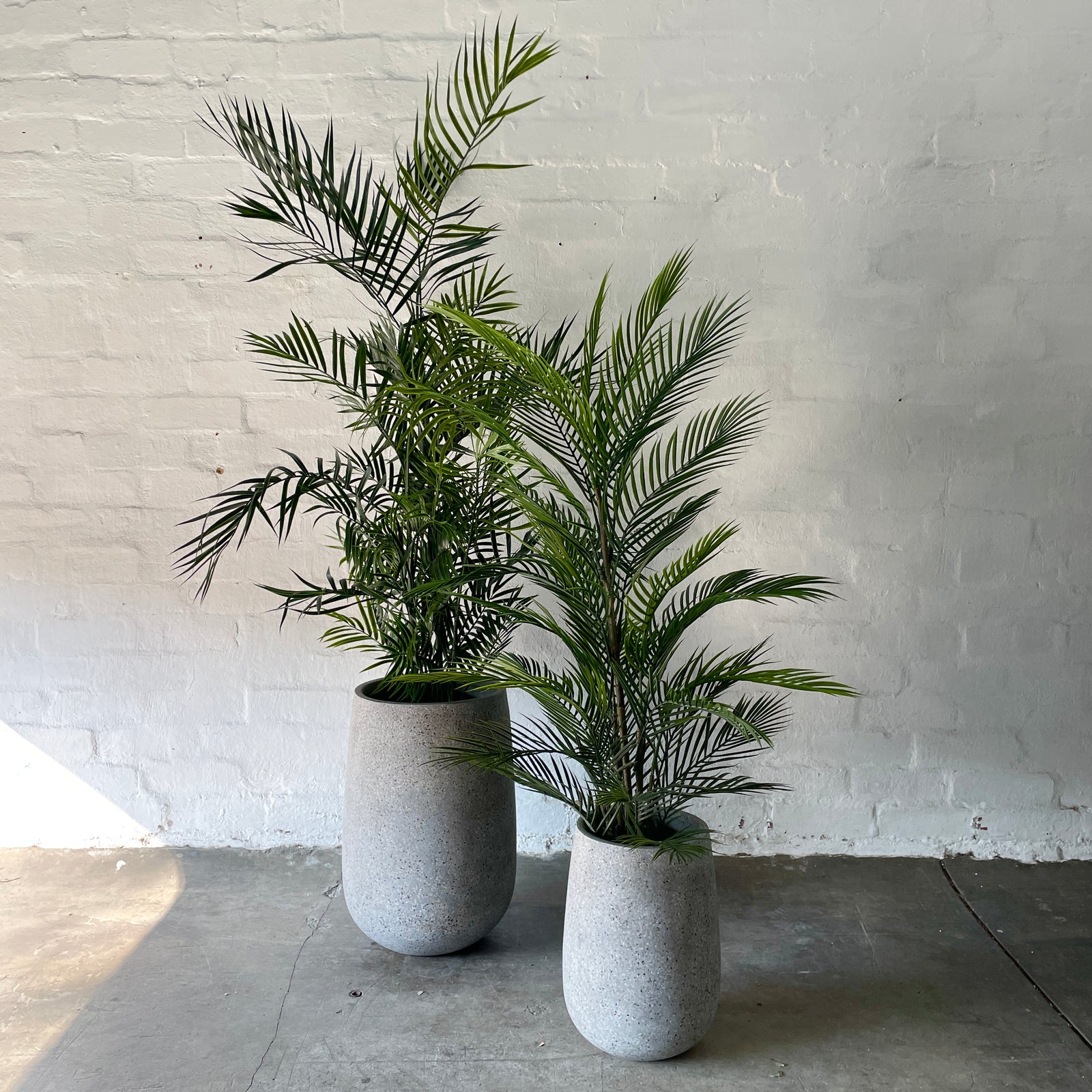 Honey Pot | Grey