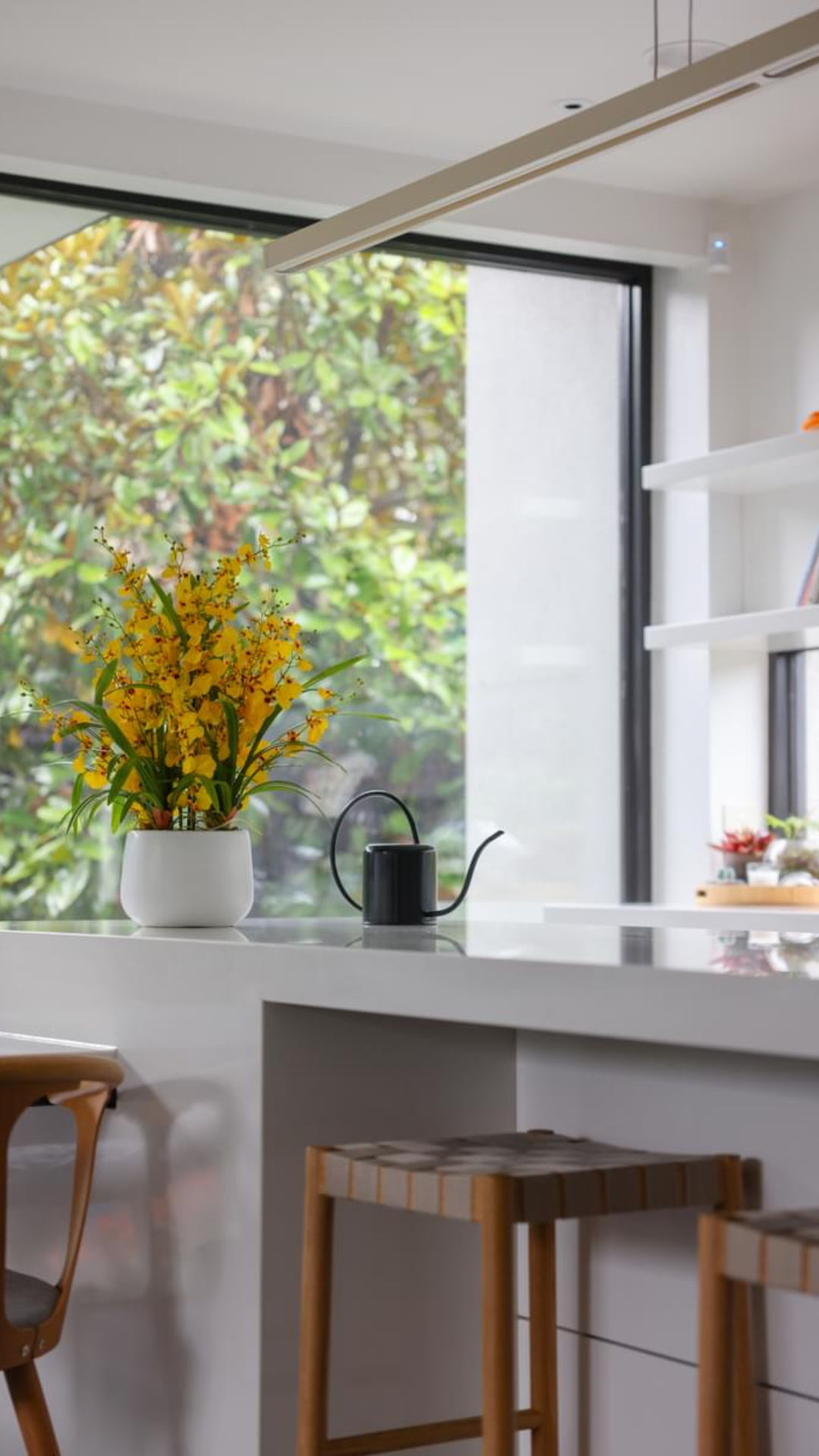 Kitchen Collection