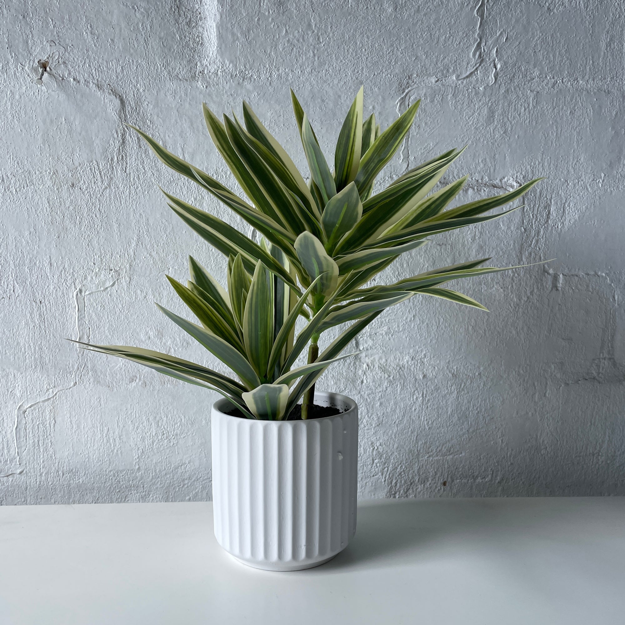 Artificial Mini Variegated Yucca