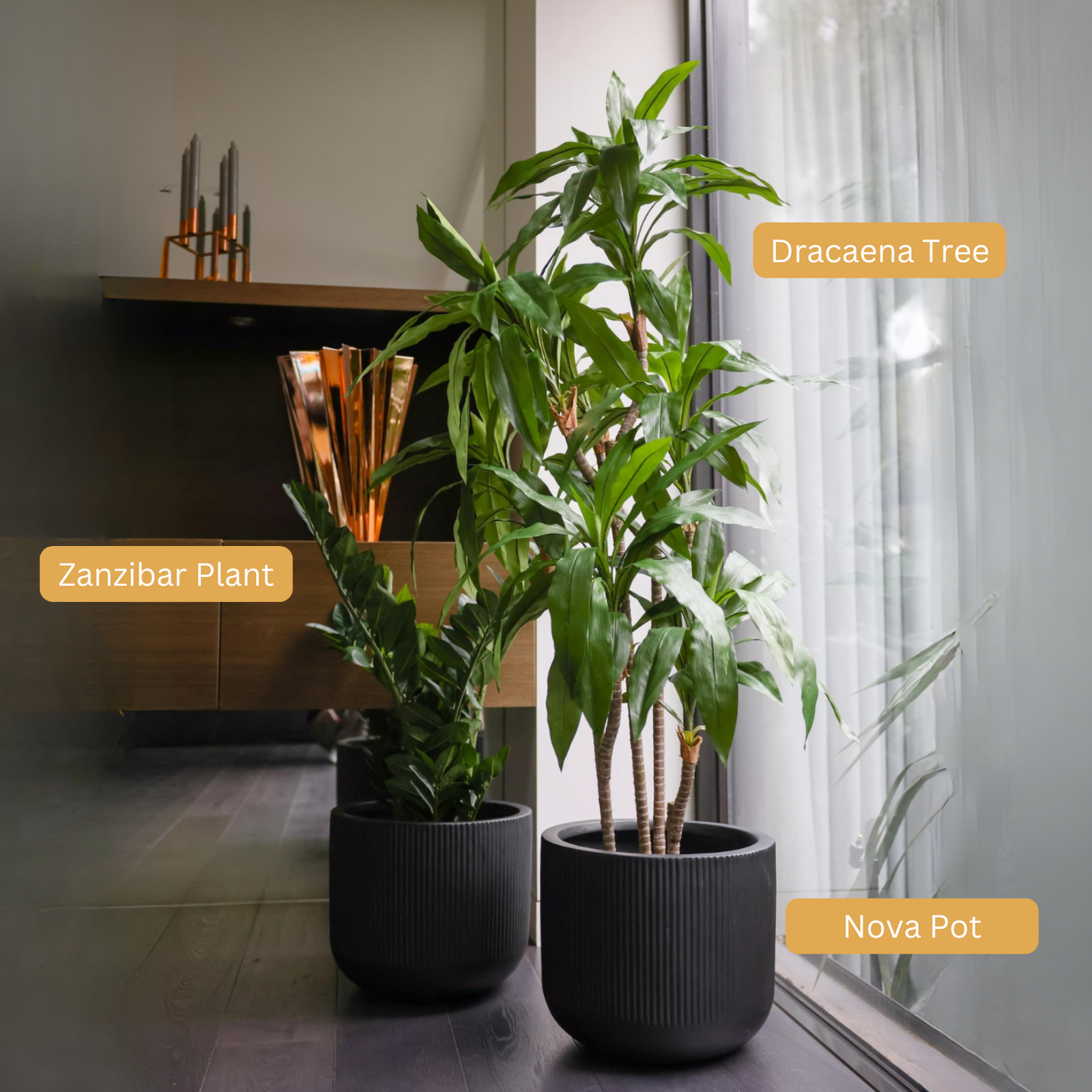 Artificial Zanzibar Plant