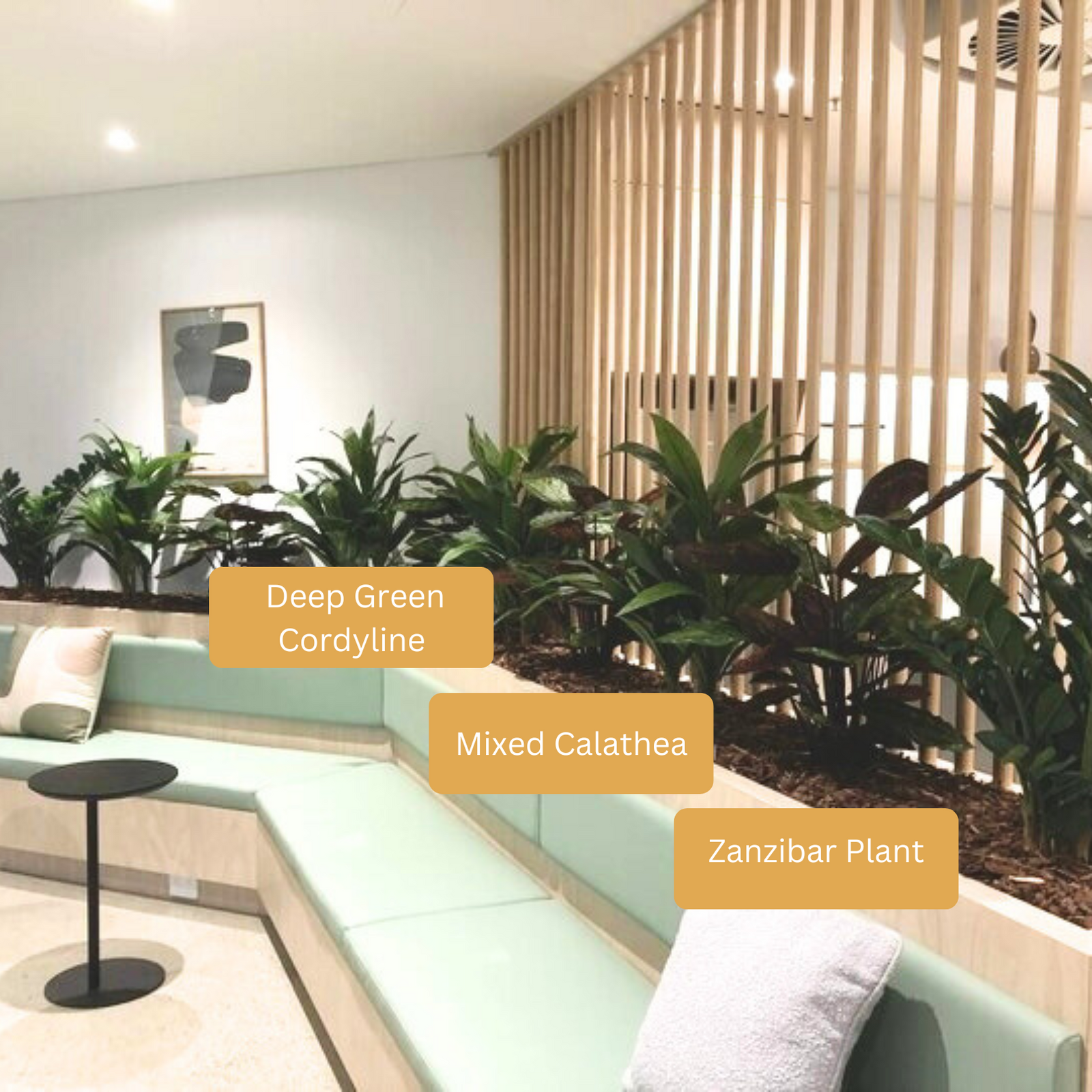 Artificial Zanzibar Plant