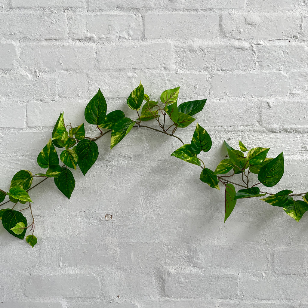 Artificial Pothos Vine Outdoor Plant