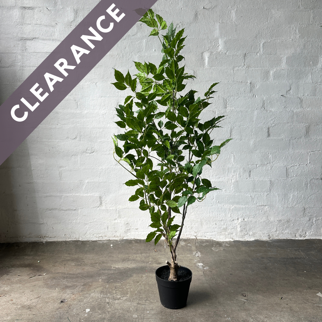 Artificial Light Ficus Tree | 120cm