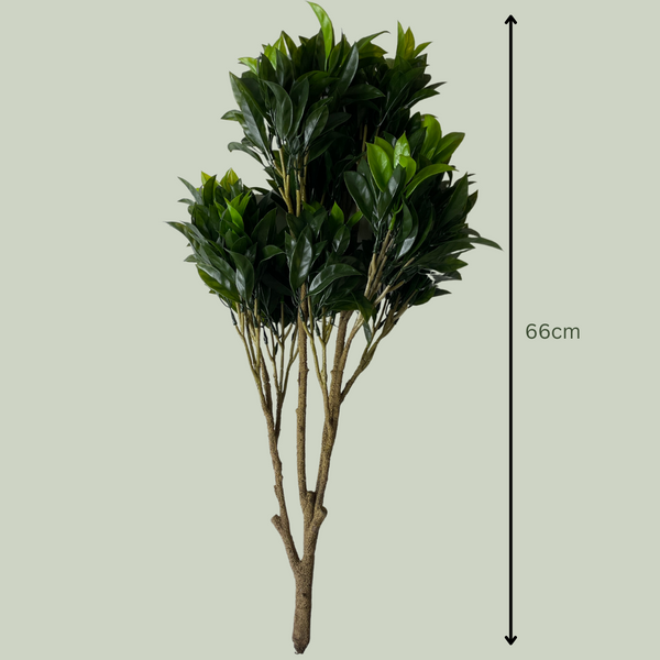 Artificial Buxus Bush - The Plants Project