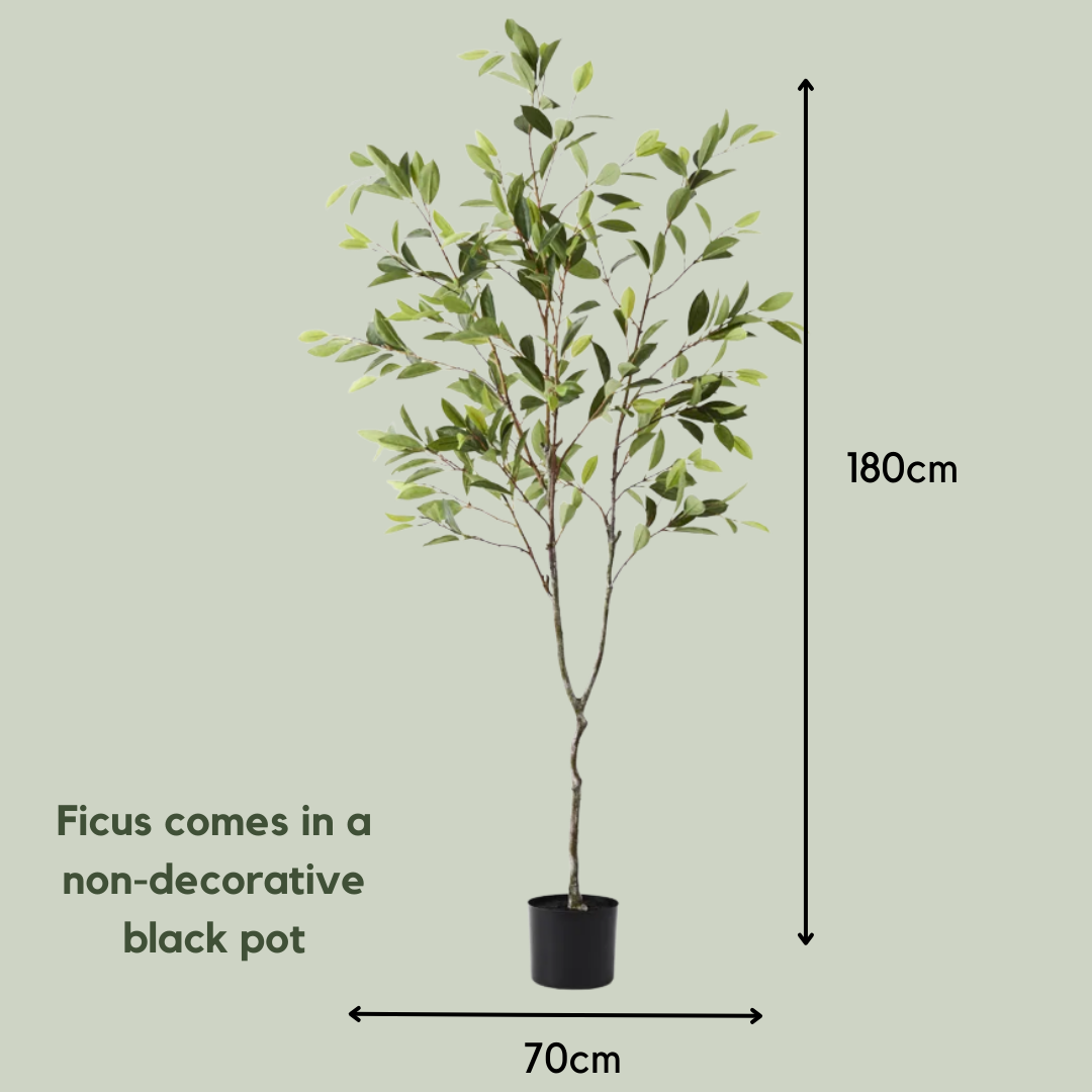 Artificial Ficus Hill Tree | 180cm