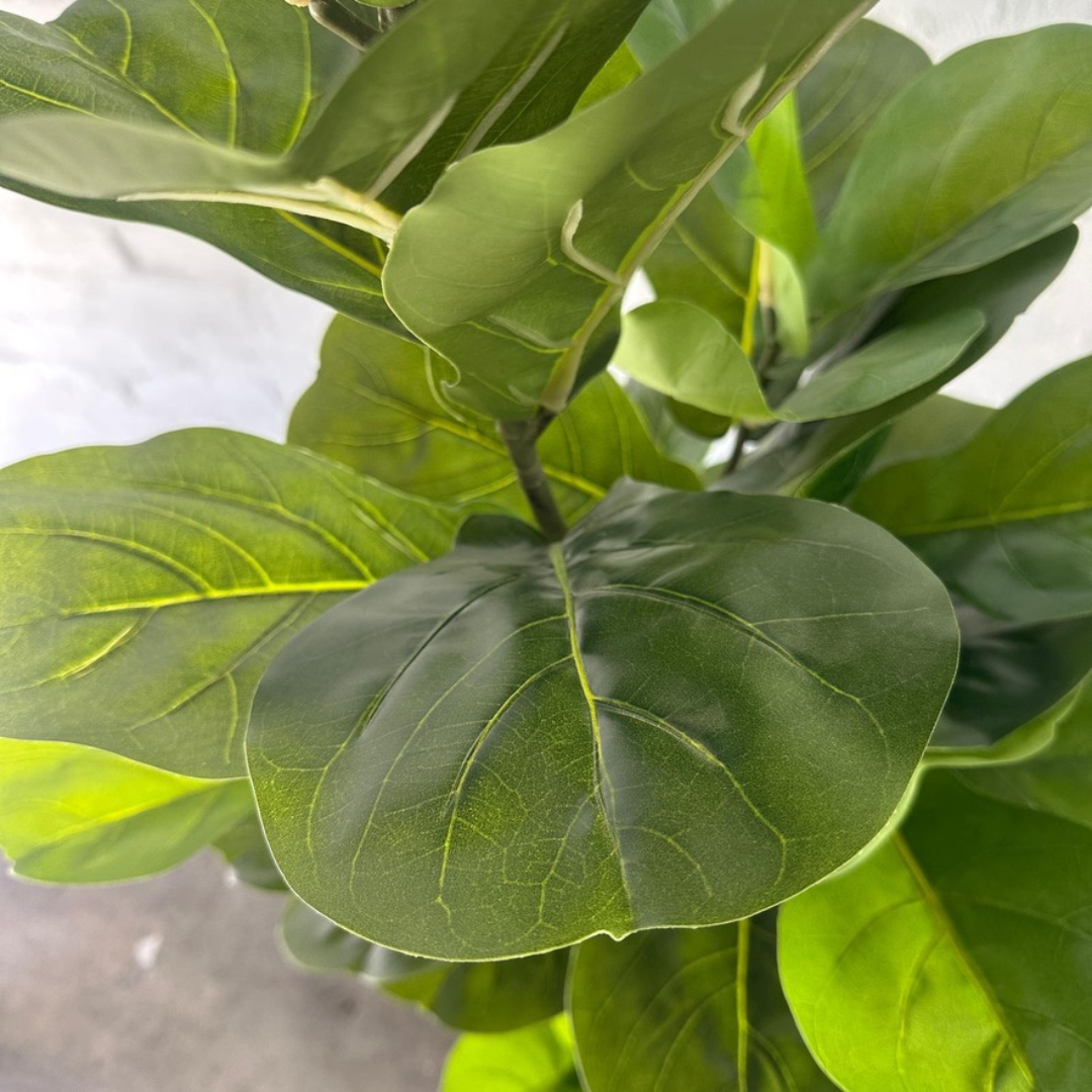 Artificial Fiddle Tree | 150cm