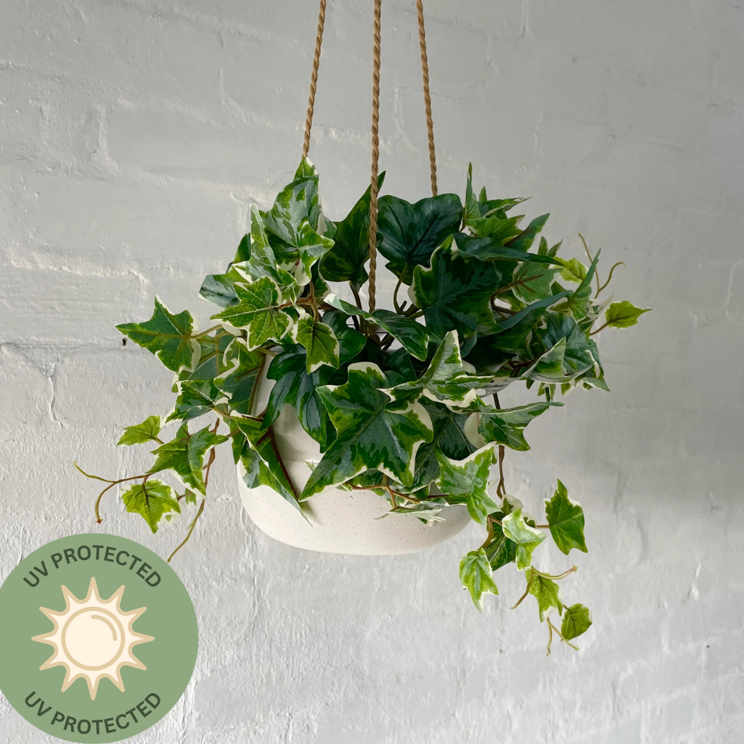 Artificial Hanging Variegated Geranium | Outdoor