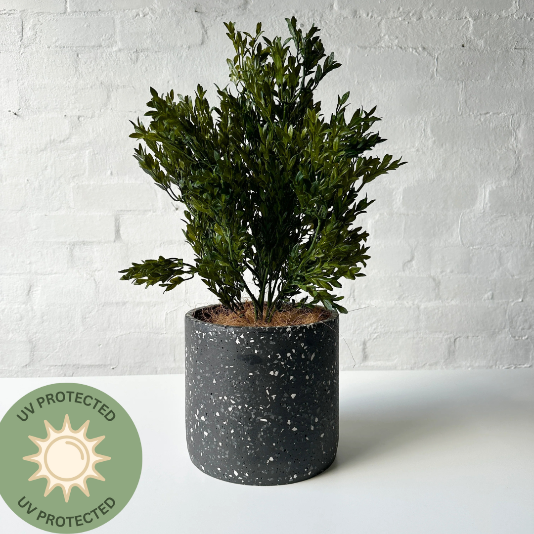 Artificial Buxus Plant | Outdoor Plant