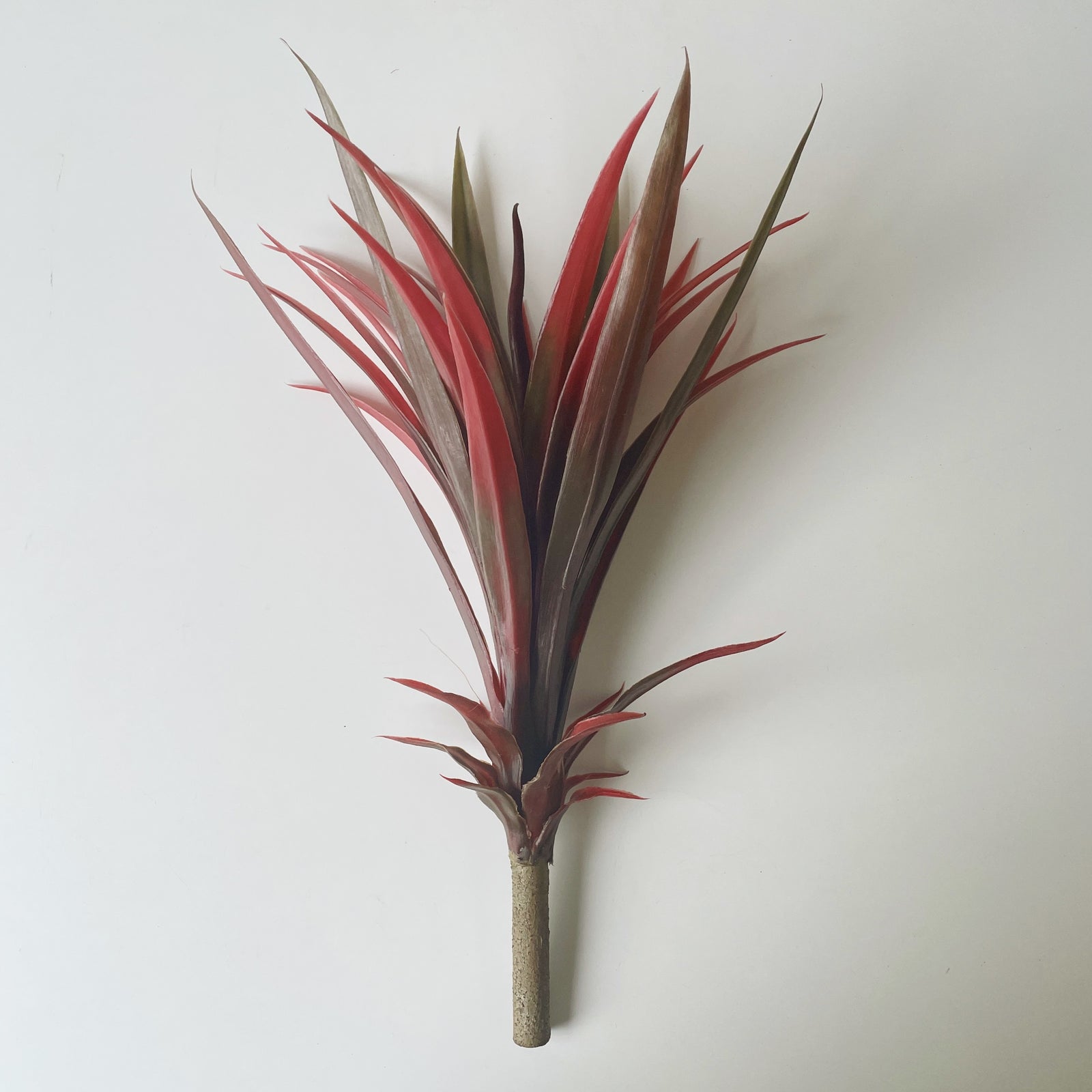 Artificial Red Yucca Stem
