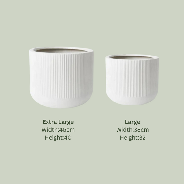 Lightweight Nova Pot | White