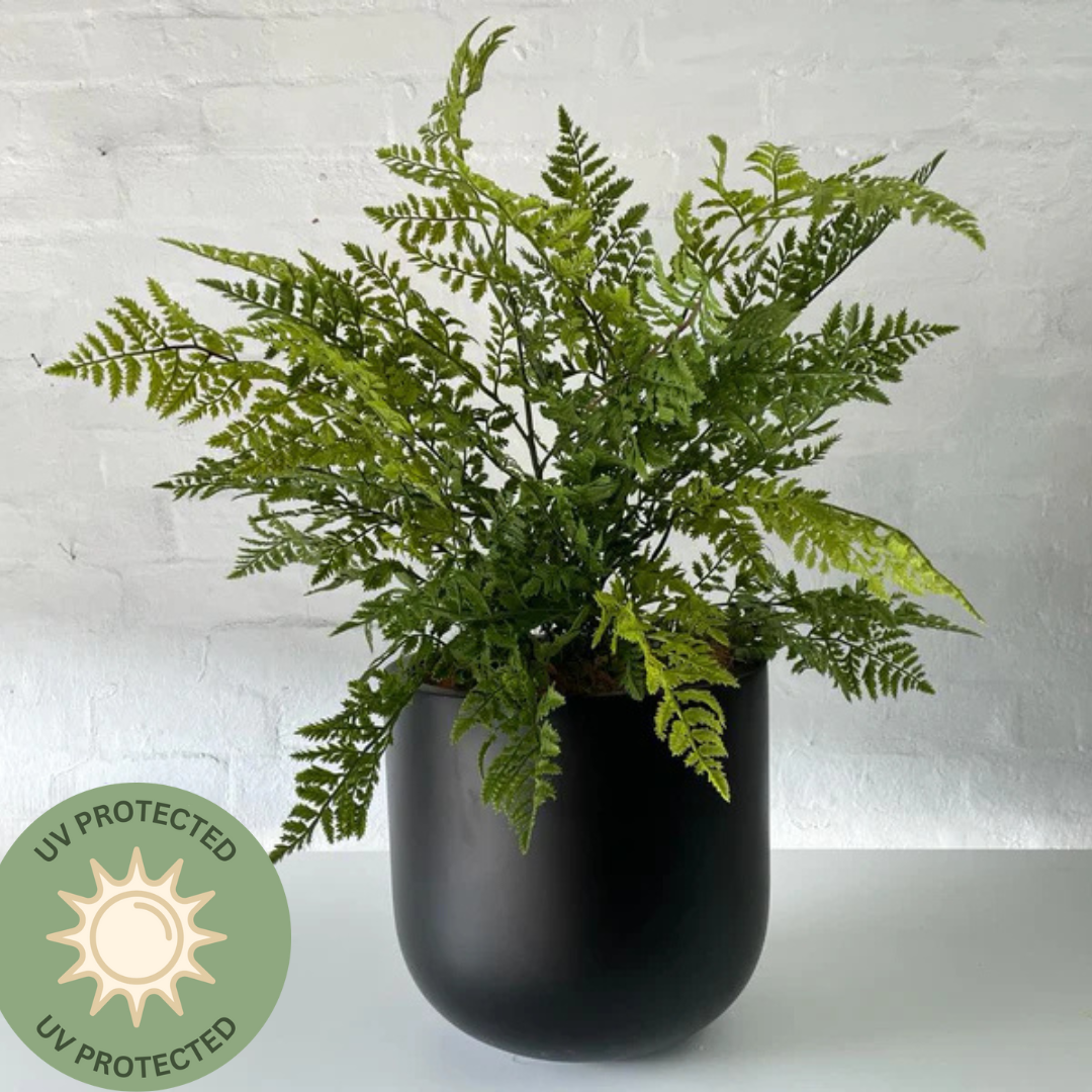 Artificial Royal Fern | Outdoor Plant