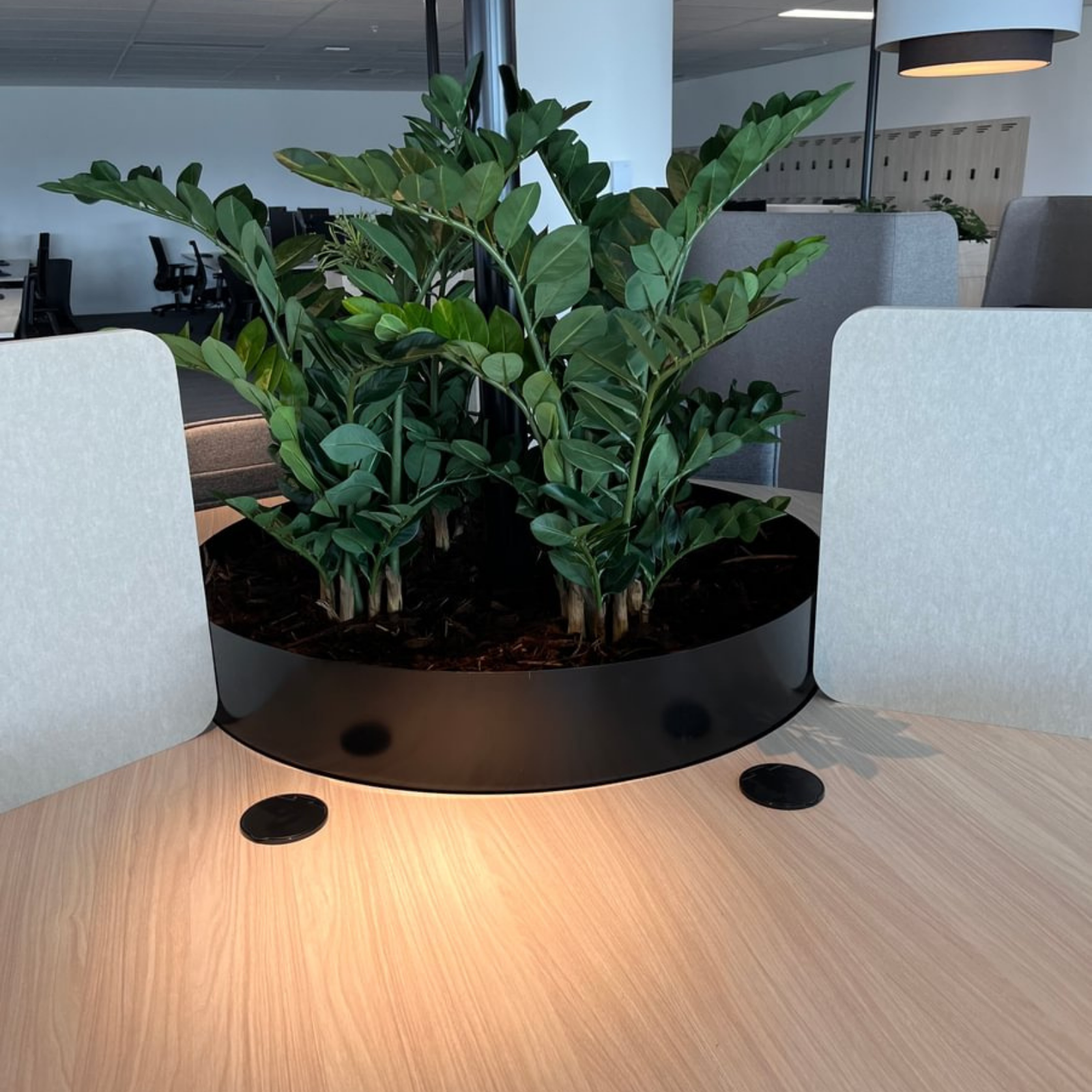 Artificial Zanzibar Plant