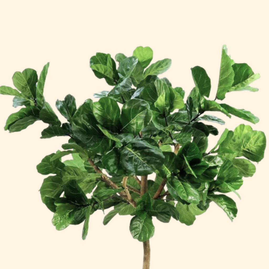 Fiddler Trees Giant Artificial Fiddle Tree