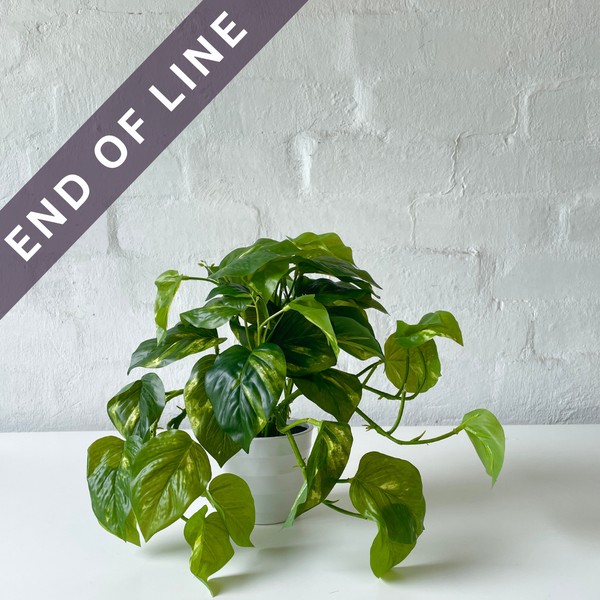 Artificial Pothos Hanging Bush in White Pot