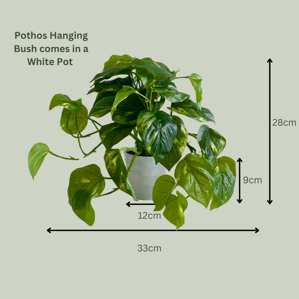 Artificial Pothos Hanging Bush in White Pot