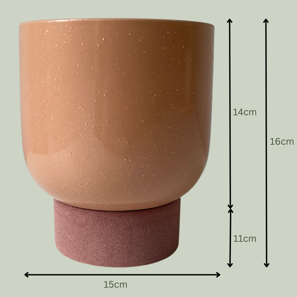 Peach Ceramic Pot - The Plants Project