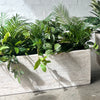 Palm Mix