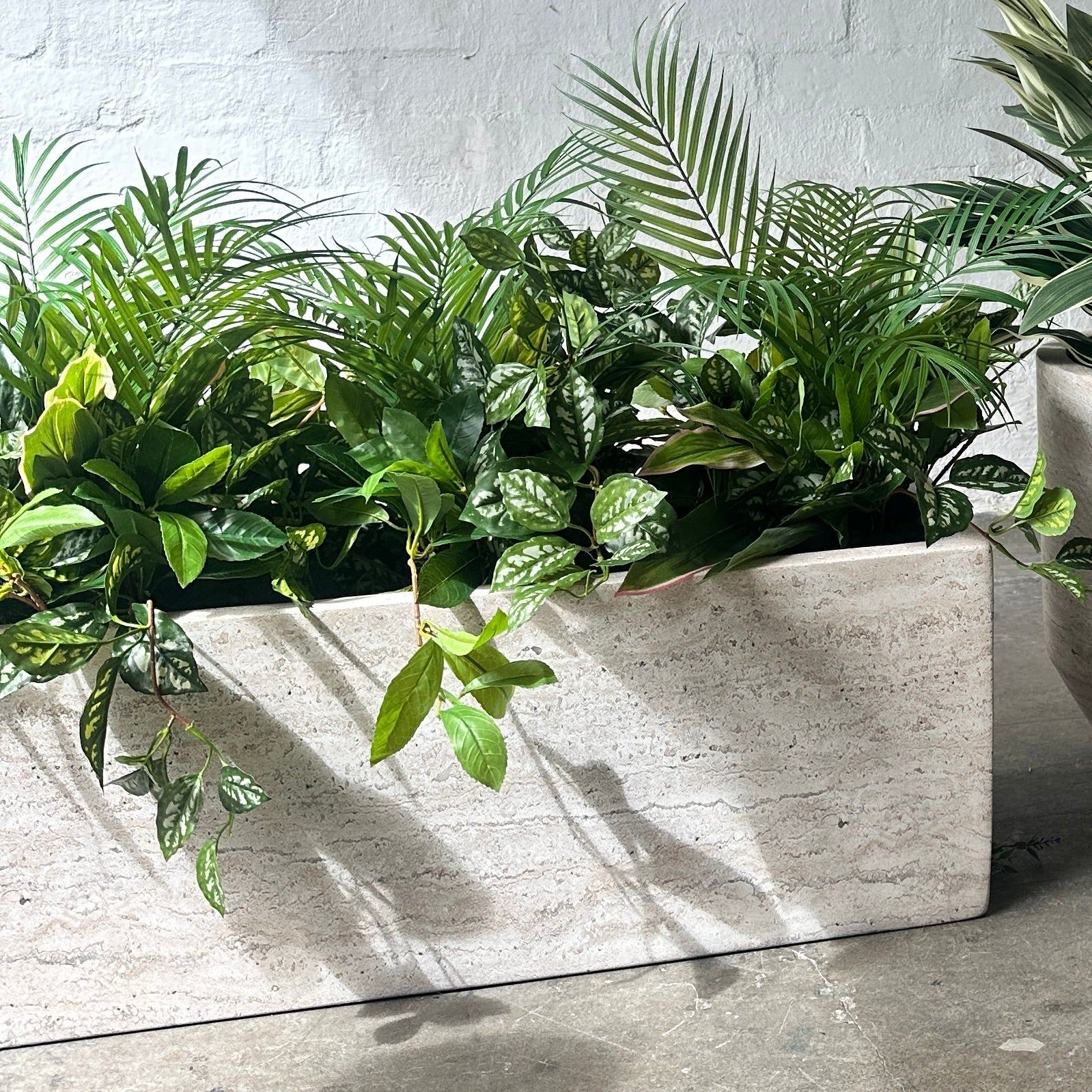 Artificial Plant Selection for Luca Troughs