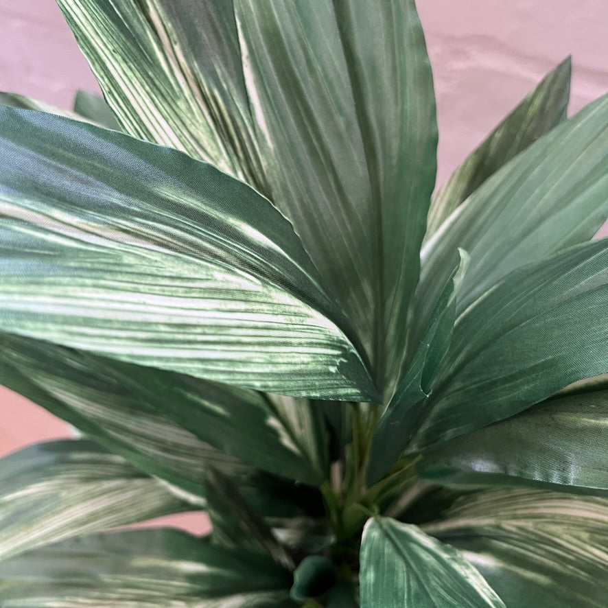 Artificial Cordyline in Pot