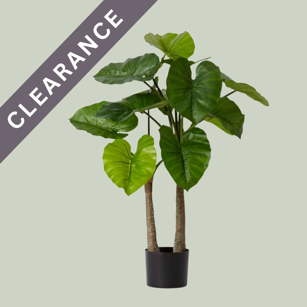 Artificial Alocasia Plant