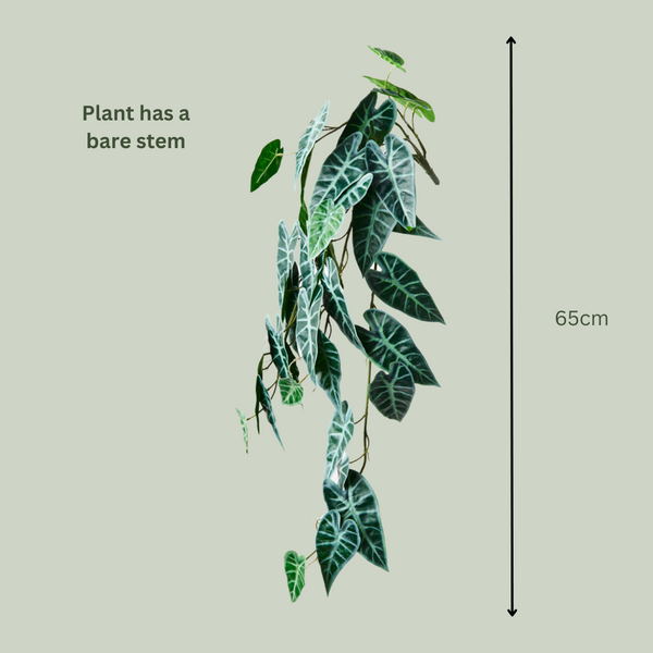 Artificial Alocasia Bambino Hanging Plant