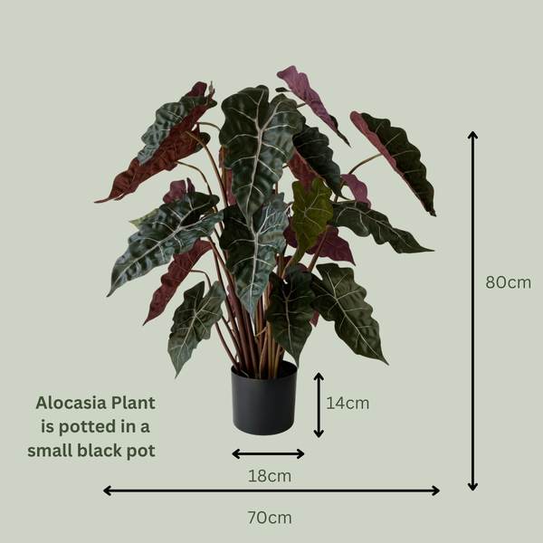 Artificial Alocasia Plant