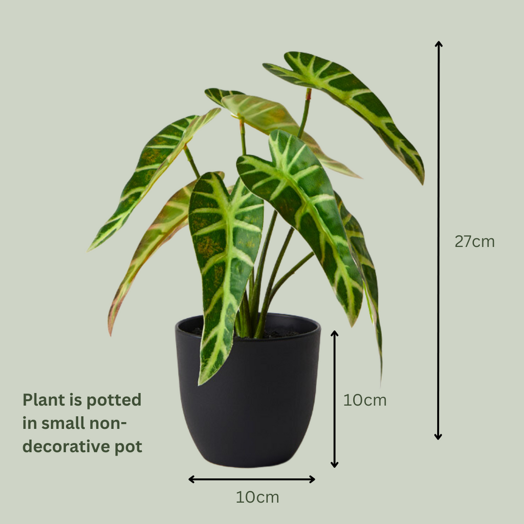 Artificial Alocasia Plant