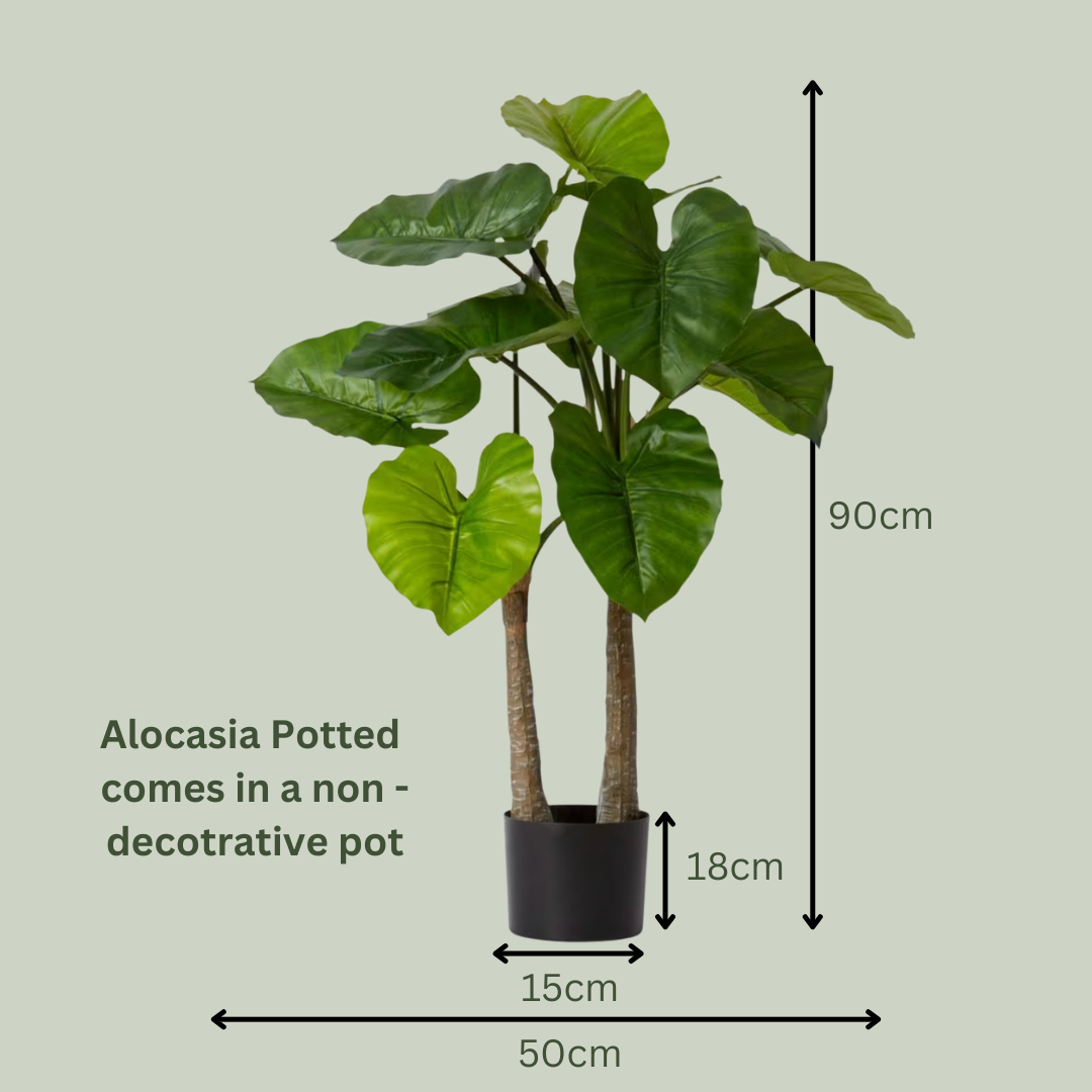 Artificial Alocasia Plant