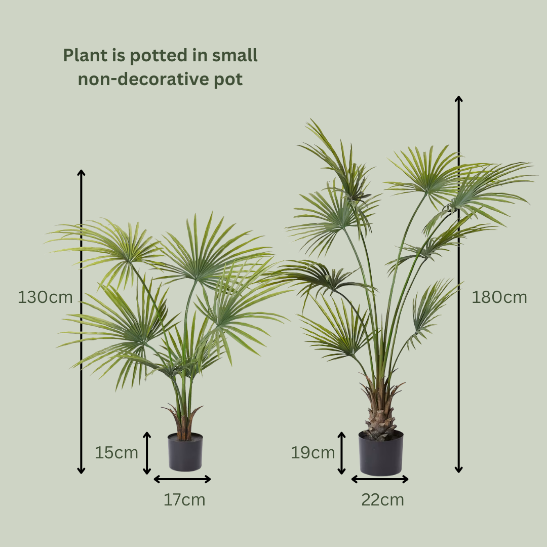Artificial Angel Palm | Outdoor Plant