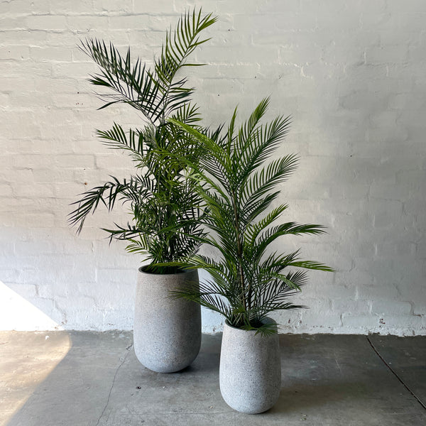 Artificial Areca Palms | Outdoor Plant