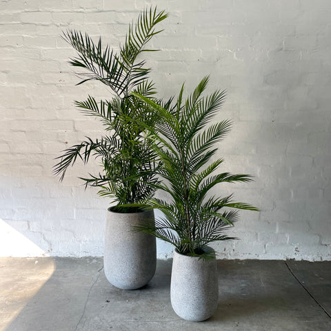 Artificial Areca Palms | Outdoor Plant