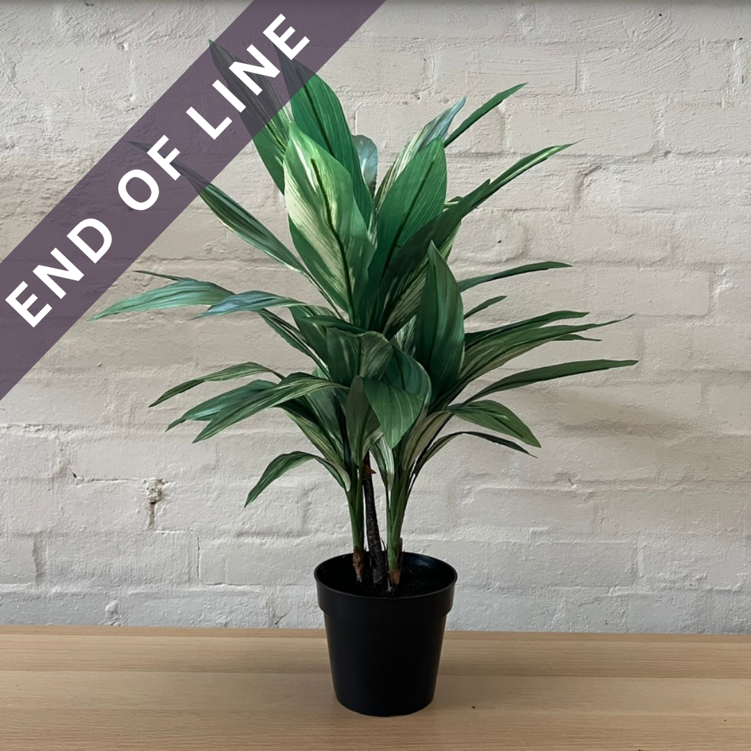 Artificial Cordyline in Pot