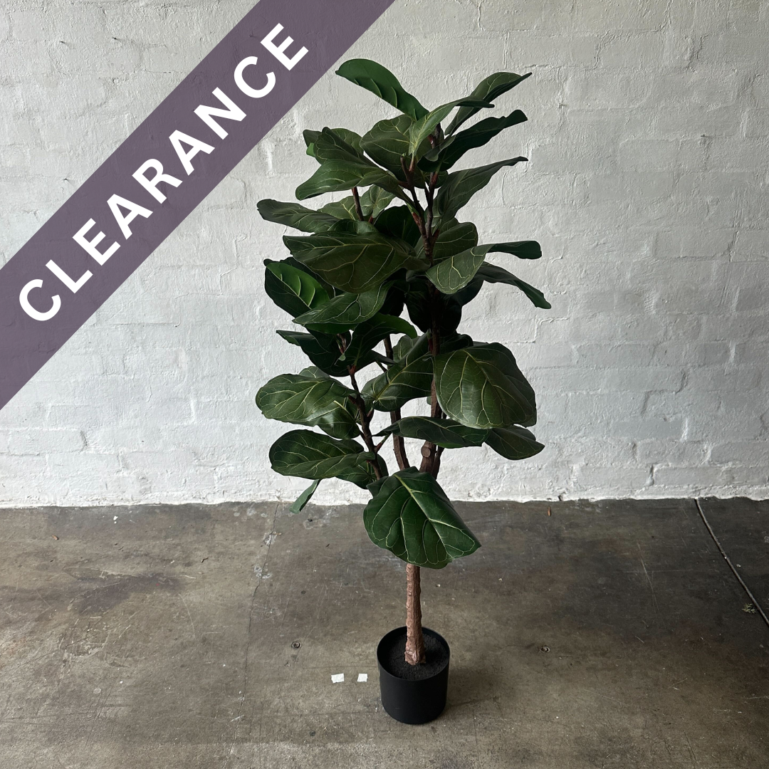 Artificial Fiddle Tree | 145cm