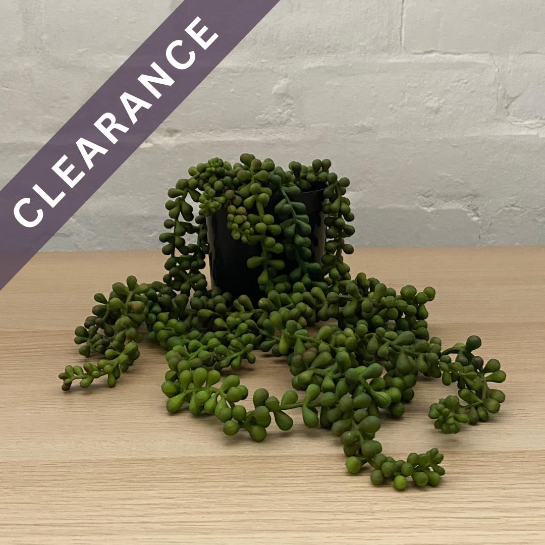 Artificial String of Pearls | 20cm