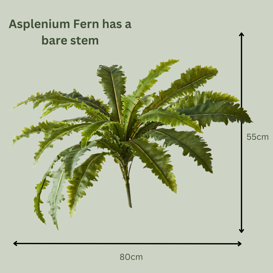 Artificial Asplenium Fern