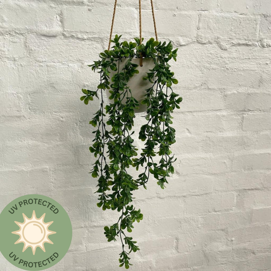 Artificial Hanging Ruscus | Outdoor