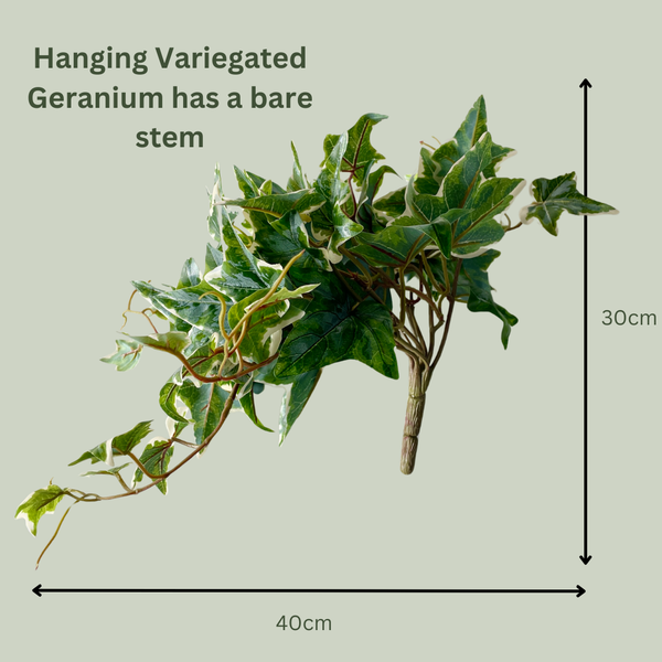 Artificial Hanging Variegated Geranium | Outdoor