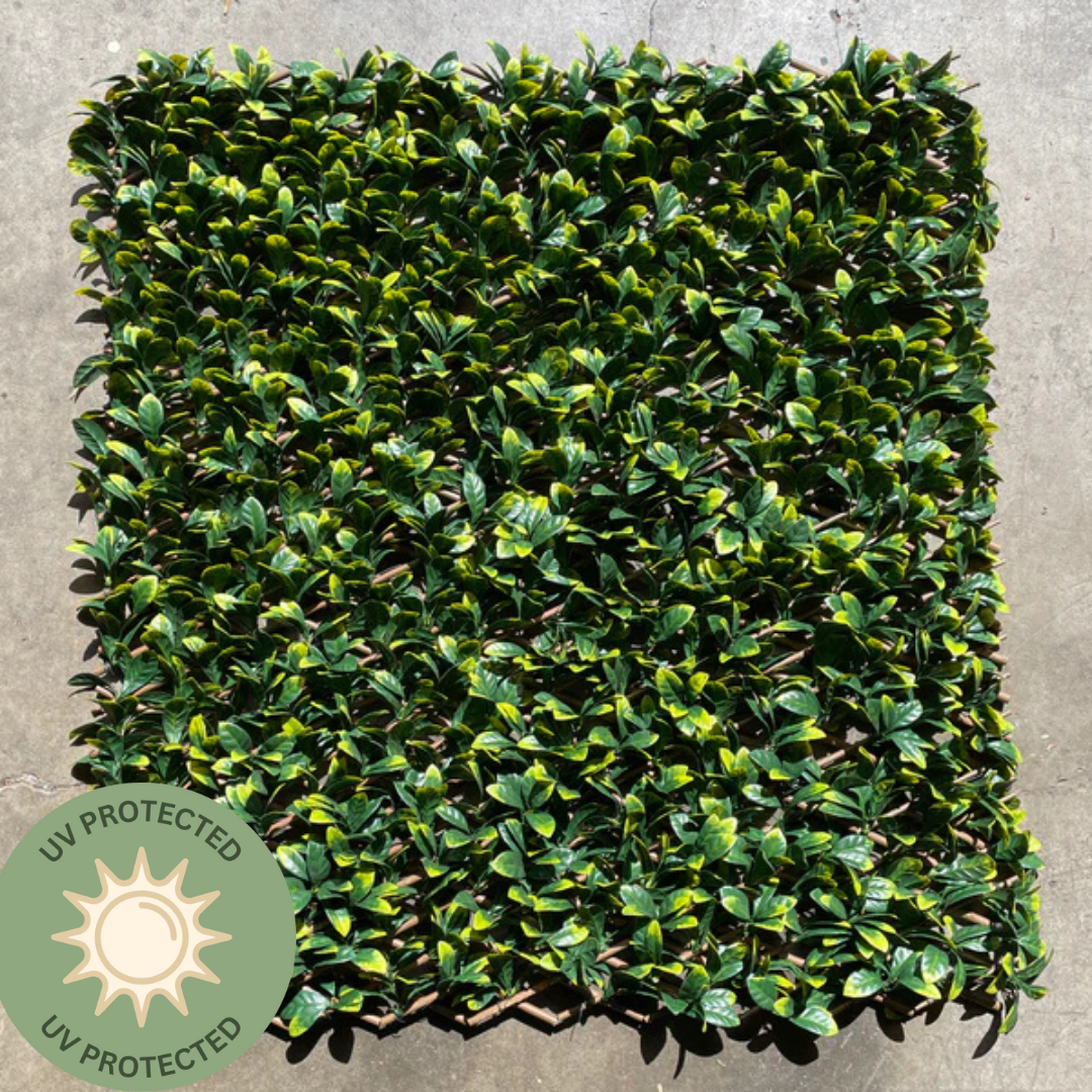 Artificial Laurel Trellis | Outdoor Plant