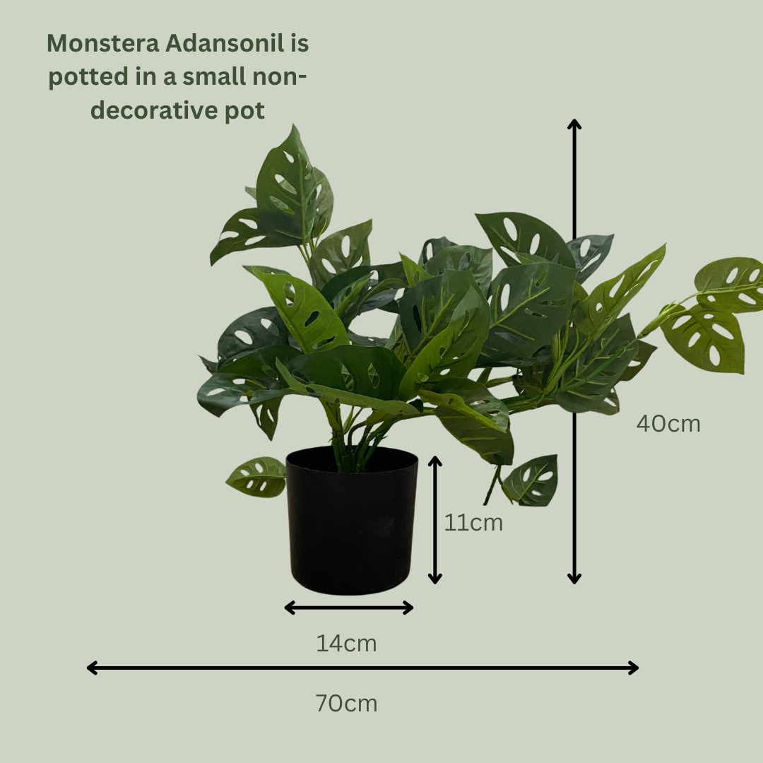 Artificial Monstera Adansoni Hanging Bush
