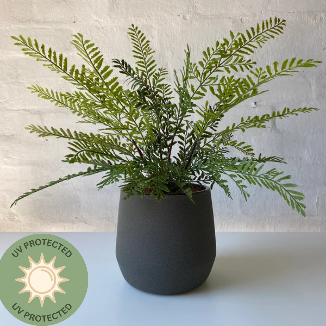 Artificial Mother Fern | Outdoor