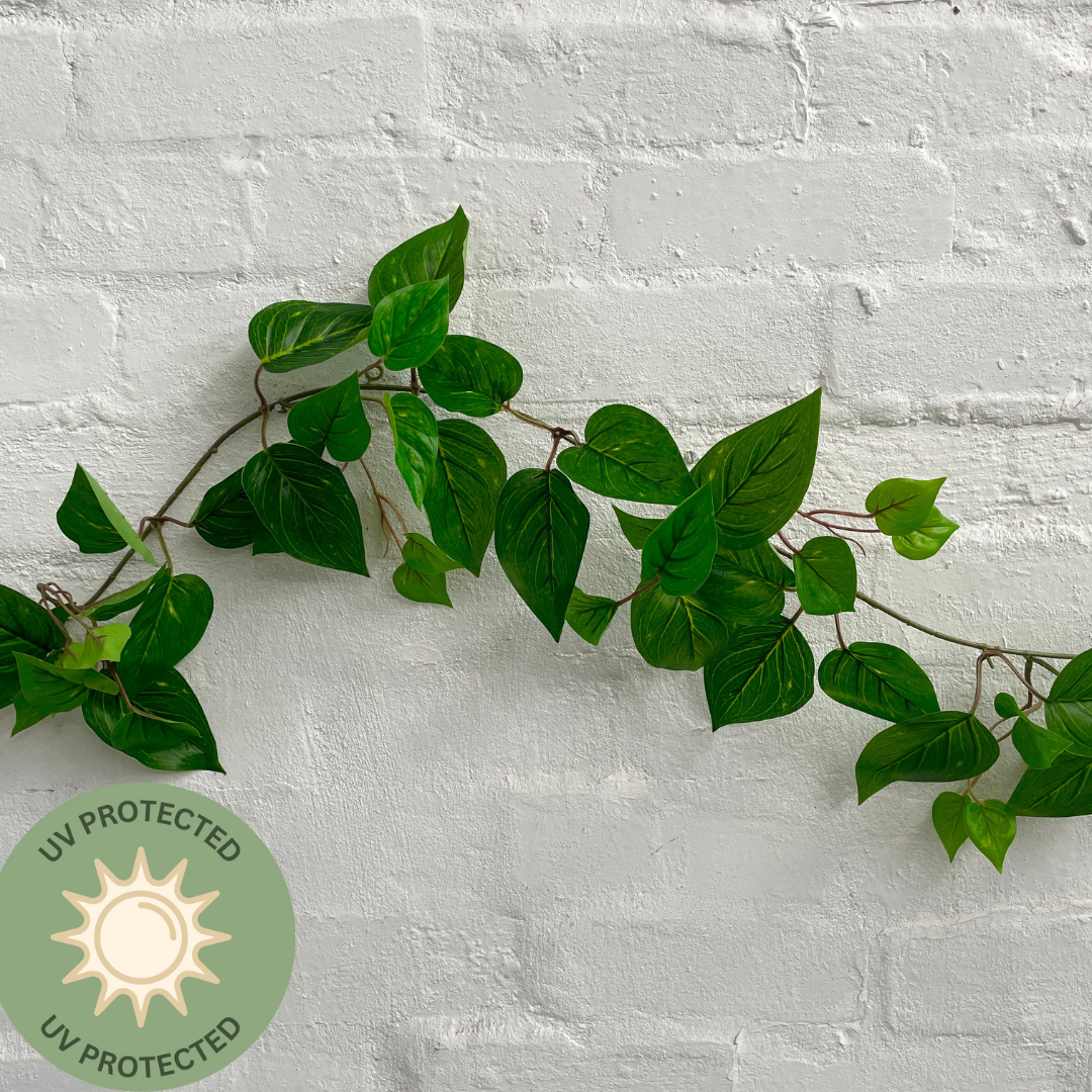 Artificial Philo Vine | Outdoor Plant