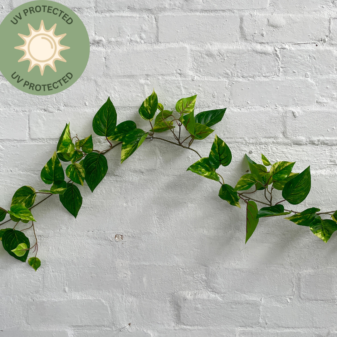 Artificial Pothos Vine | Outdoor Plant